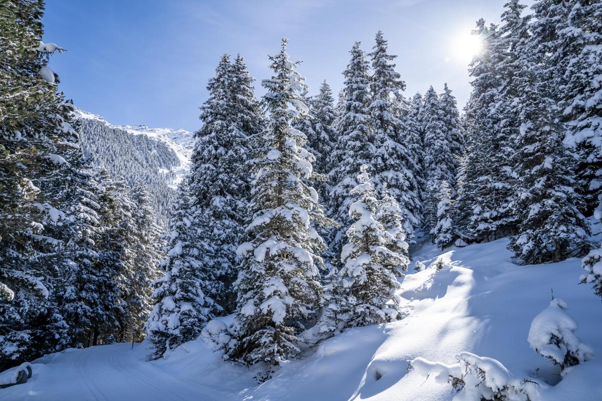 Alpengasthof Praxmar Sankt Sigmund im Sellrain Bagian luar foto