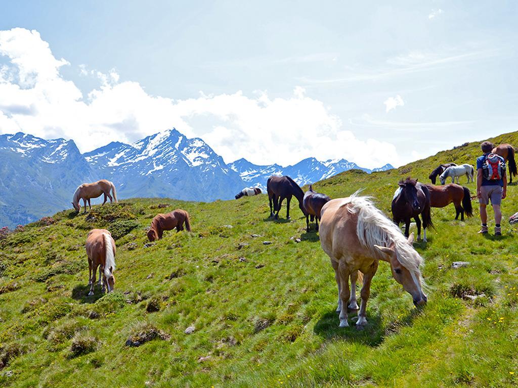 Alpengasthof Praxmar Sankt Sigmund im Sellrain Bagian luar foto